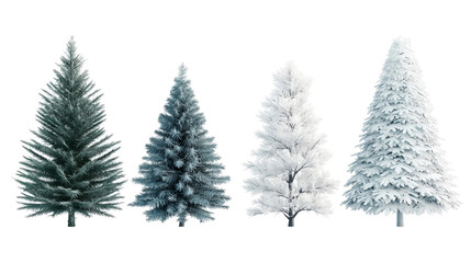 Fototapeta premium Png of A variety of Christmas trees showcasing green, silver, and snowy white hues on transparent background.