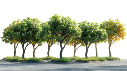 Obraz premium A Grove of Green: A collection of lush, verdant trees stand tall on a small patch of green, evoking a sense of calm and serenity. A beautiful landscape scene.
