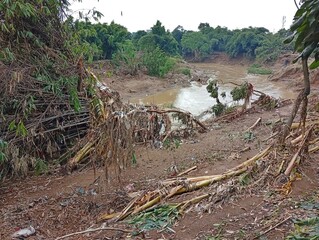 river bank after flood
