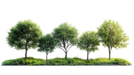 Lush Green Landscape: A row of vibrant trees in a flourishing green landscape, each standing tall with full, healthy foliage. The image captures the essence of nature's serenity.