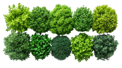 Green Hedges in Rows: Overhead shot of a diverse array of trimmed green hedges, each presenting unique shapes and foliage textures, providing a clean and structured visual element.