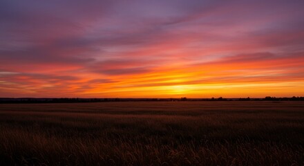 Sunset over a golden field reveals vibrant sky colors 