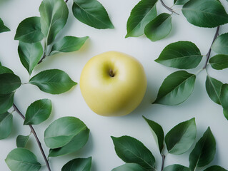 green apples on a branch