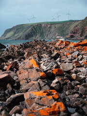 Vibrant orange lichen-covered rocks contrast with the deep blue ocean and lush green cliffs. Wind turbines spin on the hills above a remote coastal house in South Australia’s rugged landscape.