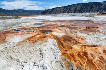 Mammoth Hot Springs Yellowstone National Park
