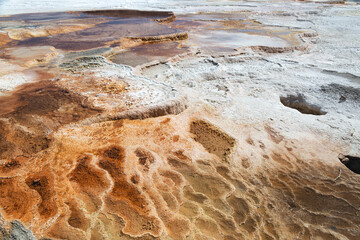 Mammoth Hot Springs Yellowstone National Park