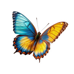 Tropical butterfly with blue and yellow wings on white background, cut out. Perfect for nature, wildlife, and transformation concepts