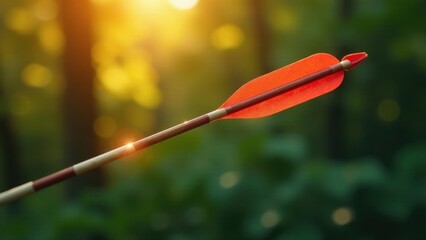 Golden hour illuminates a single arrow shaft, showcasing vibrant red fletching against a softly blurred woodland backdrop.