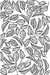 Dry leaves Line Art drawing black on white background 