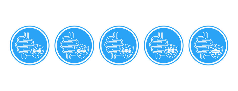 Prebiotic Probiotic Postbiotic Parabiotic Synbiotic product labels on white background. Good bacterial flora for stomach and intestine. Health care immunity support. Banner vector EPS10.