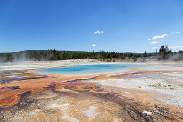 Geyser Basin in Yellowstone National Park