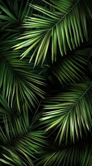 Experience the beauty of nature indoors with this palm leaves shadow graphic wallpaper.