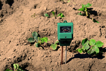 Soil Moisture Tester in Garden with Young Plants in Outdoor Agriculture