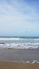 Landscape beach, grass, the sky, wooden walkway in Argentina. Beach without people