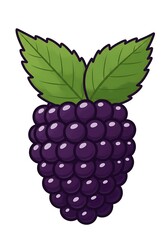 Fototapeta premium Isolated Blackberry Illustration with Leaves Against a White Background for Design