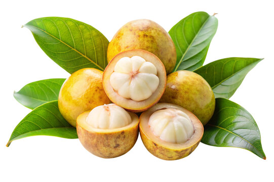 Mangaba fruit sweet tropical delicacy delight