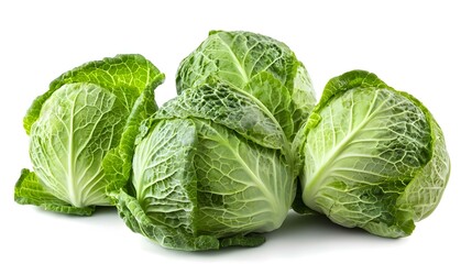 Fototapeta premium cabbage isolated on white background