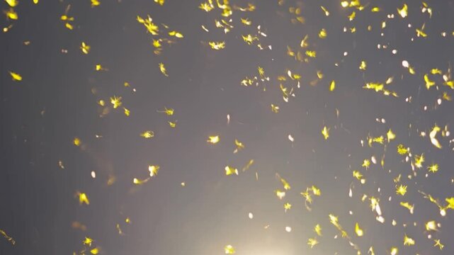 Sparkling and Glittering Gold Dust 
