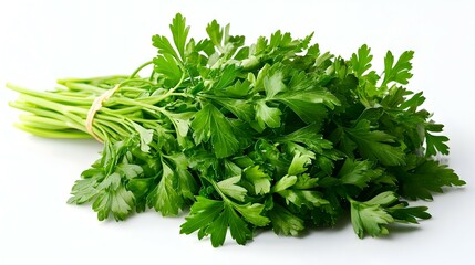 Obraz premium Fresh parsley on white background
