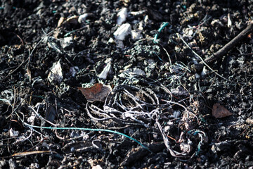 Fire pit after roasting copper wires by non-ferrous metal hunters