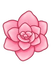 Fototapeta premium Illustration of Pink Succulent Flower on White Background for Designs