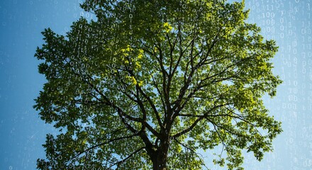 Obraz premium Lush green tree vibrant sunlight overhead. AI Generated