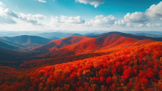 aerial view of vibrant autumnal forest landscape with red and orange trees under blue sky

