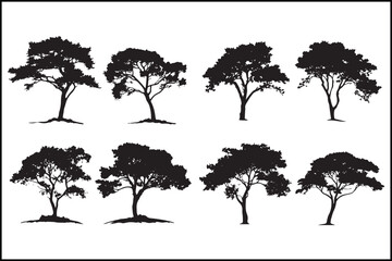 Tree silhouettes, Flat tree icons, Isolated tree set, Black tree vector, Nature silhouette, Forest silhouettes, Digital tree pack, Abstract trees, Minimalist trees, Flat vector trees, Silhouette colle