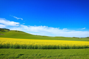 Obraz premium a grassy field with a hill in the background