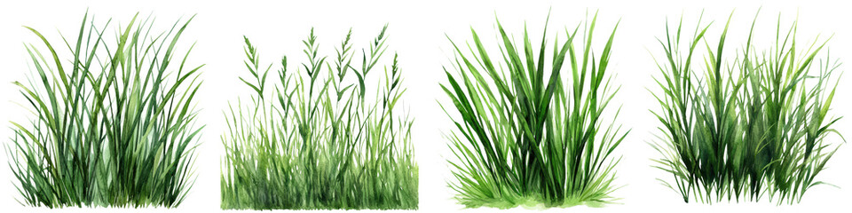 Fototapeta premium Lush green grass blades in full frame closeup view against bright natural background Detailed texture and pattern of fresh vibrant foliage in summer or spring season