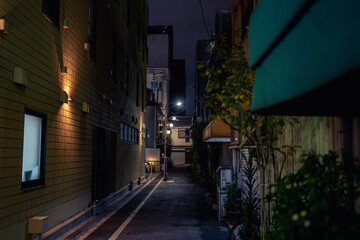 Osaka, Japan - 07.11.2024: alleyway wat night in Osaka