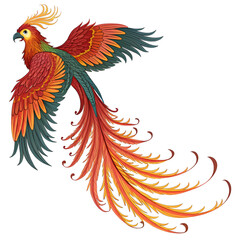 peacock feather isolated on black background