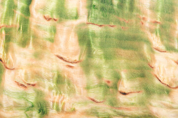 beautiful green background with a wood texture