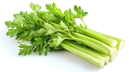 Fresh green celery isolated on white