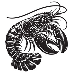 Seafood lobster vector illustration