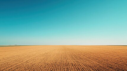 Fototapeta premium Aerial view of a golden farmland under bright blue skies