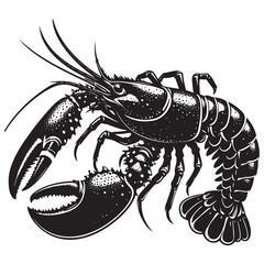 Seafood lobster vector illustration
