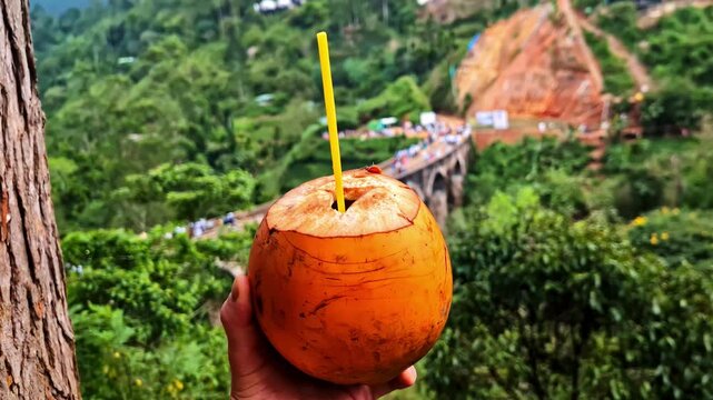 A hand holds a fresh king coconut with a straw, overlooking the iconic Nine Arches Bridge in Ella, Sri Lanka