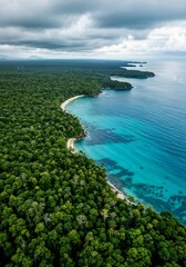 Inspiring aerial view of rainforest and ocean, emphasizing their harmony and natural beauty in high quality photography