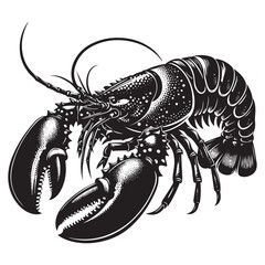 Seafood lobster vector illustration