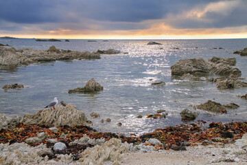 Kaikoura Peninsula coast, South Island, New Zealand