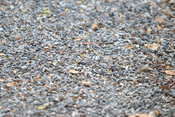 Texture of stones and pebbles: An image with textured stones and pebbles with natural tone. Showing...