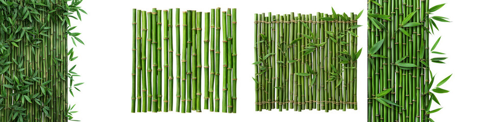 Fototapeta premium Lush verdant green bamboo stalks growing in a natural forest environment providing a sense of privacy tranquility and relaxation