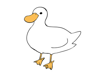 まるっこい アヒル