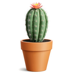 Cactus in Hand-Painted Terracotta Pot (Cactaceae) A small cactus with dense spines, placed in a hand-painted terracotta pot with bright,