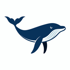 Humpback whale vector on white background.