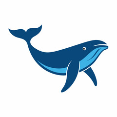 Humpback whale vector on white background.
