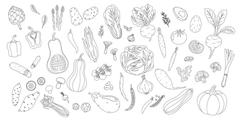 Collection of hand-drawn vegetables and herbs arranged on a white background showcasing diversity in plant-based food