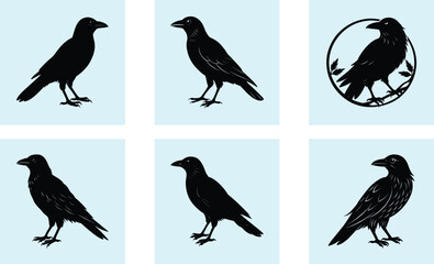 Obraz premium Crow Silhouette vector