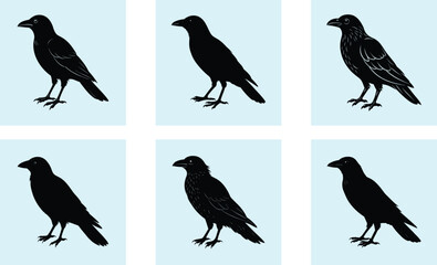 Fototapeta premium Crow Silhouette vector